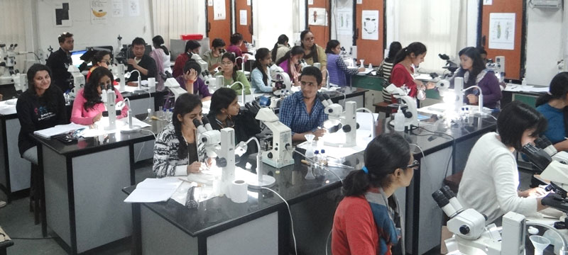 thesis of medical college libraries thesis of medical college libraries